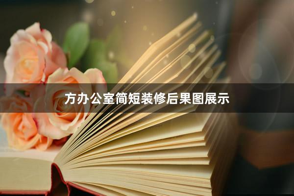 方办公室简短装修后果图展示